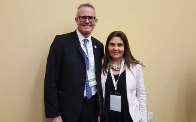 visual_sector_optico