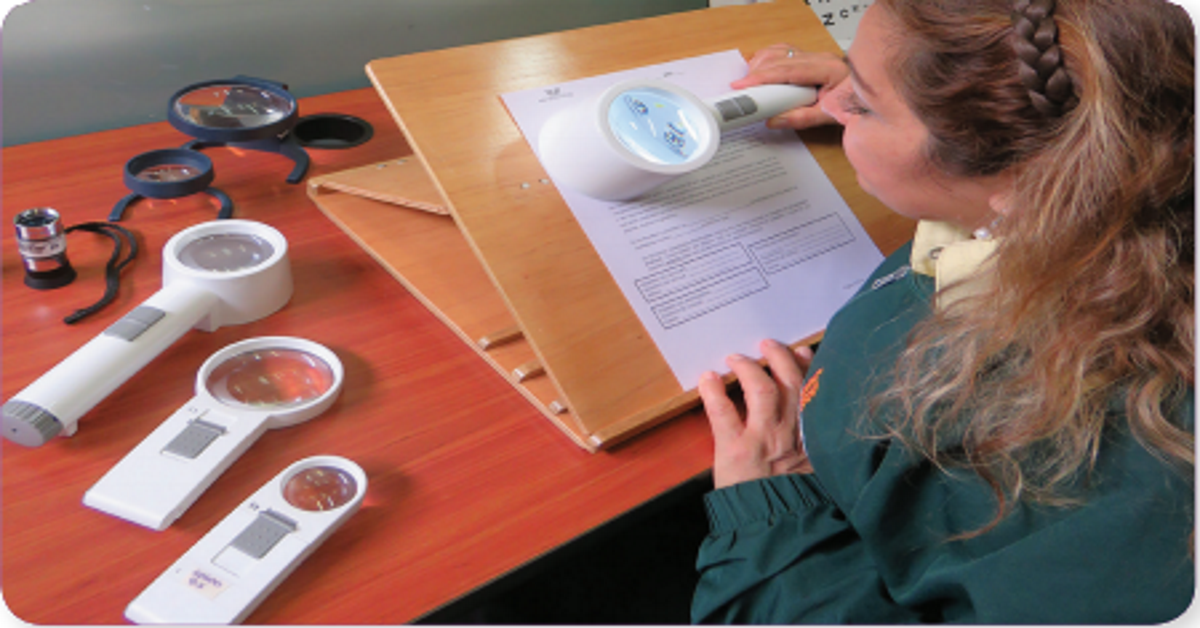 BAJA VISIÓN EN LA DMRE