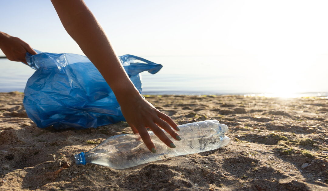 PROYECTO OCEAN BLUE Y LIMPIEZA DE MIAMI BEACH