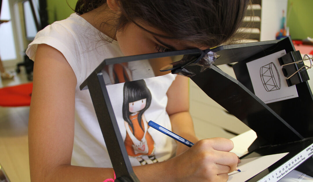 El rol del optómetra en la atención del niño con baja visión y trastorno del desarrollo intelectual