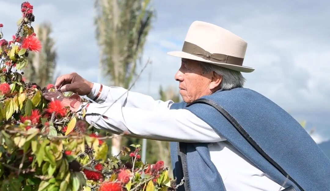 Salud visual en las comunidades étnicas de Colombia