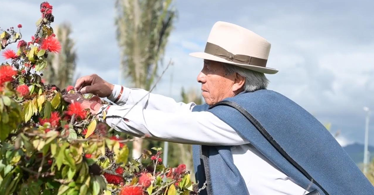 Salud visual en las comunidades étnicas de Colombia
