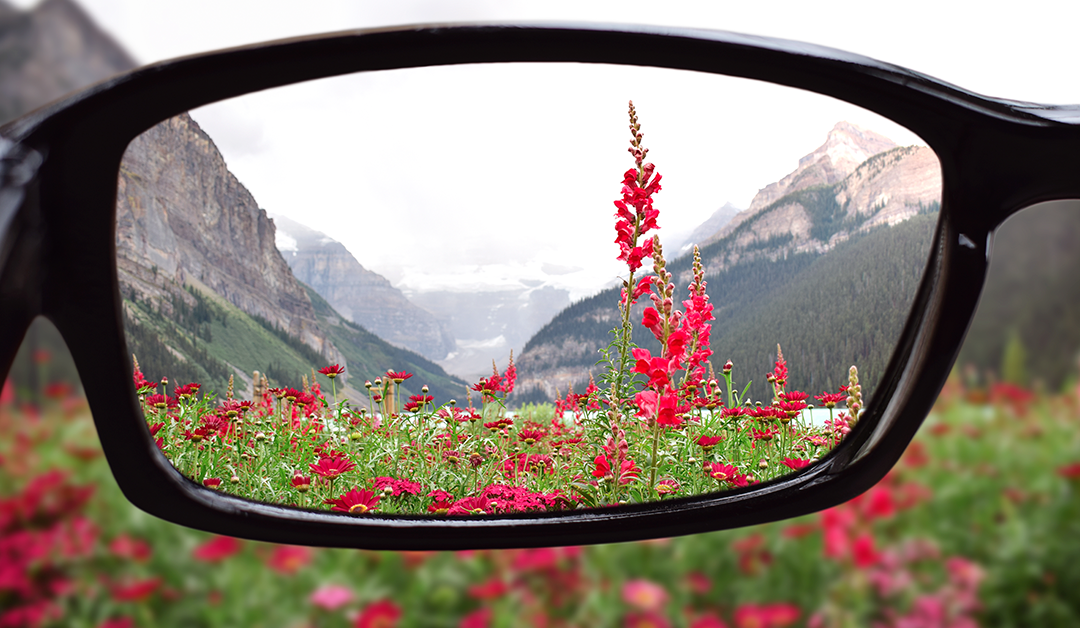 Parcialización óptica: fundamentos prácticos para su normalización y trazabilidad clínica