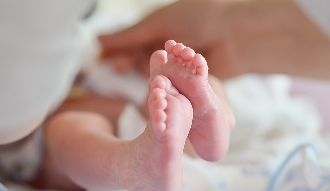 ¿Cómo se comporta el estado refractivo en prematuros sin retinopatía de la prematuridad?